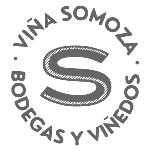 NENO SOBRE LÍAS - GODELLO - Imagen 2